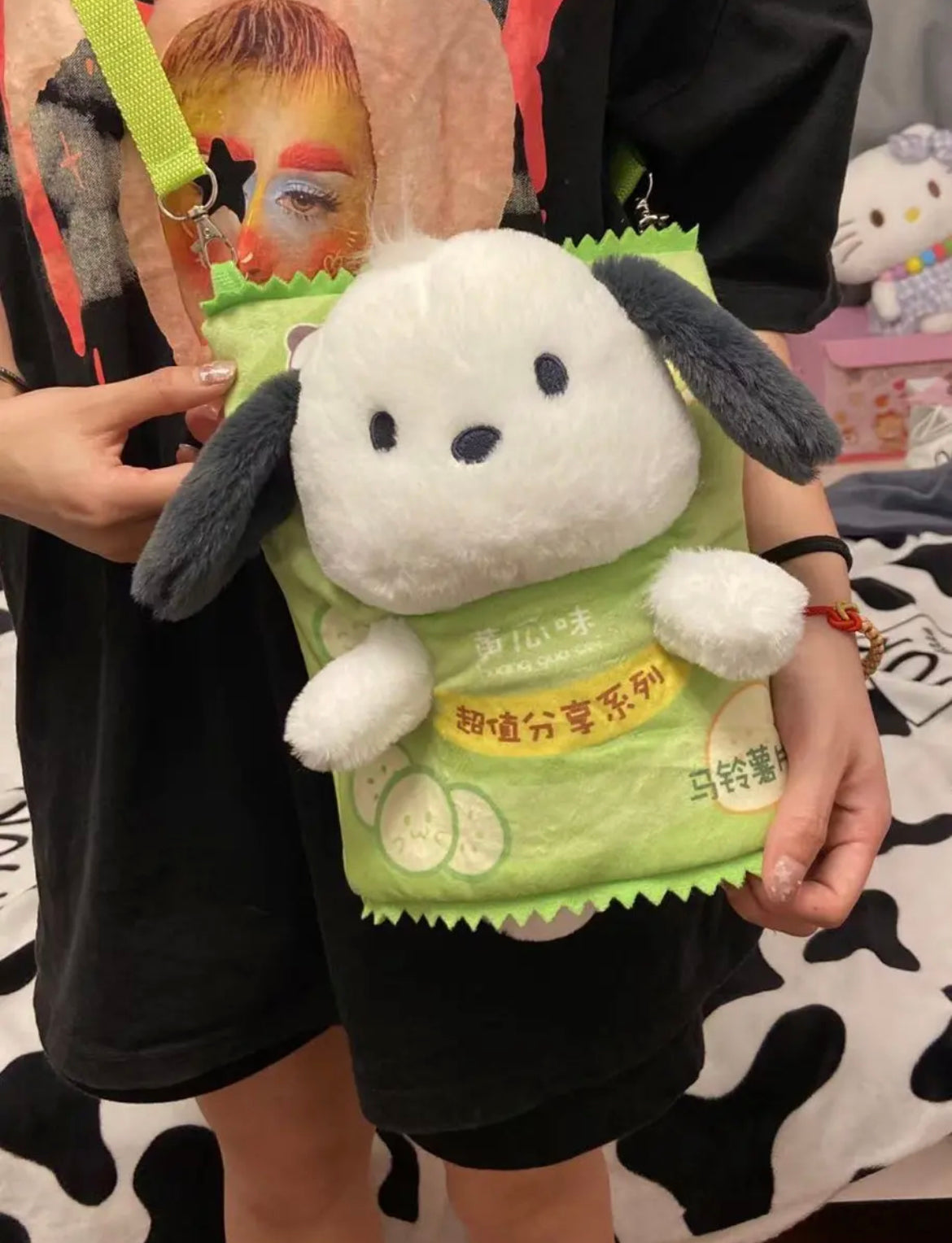 Pocha Potato Chips Bag