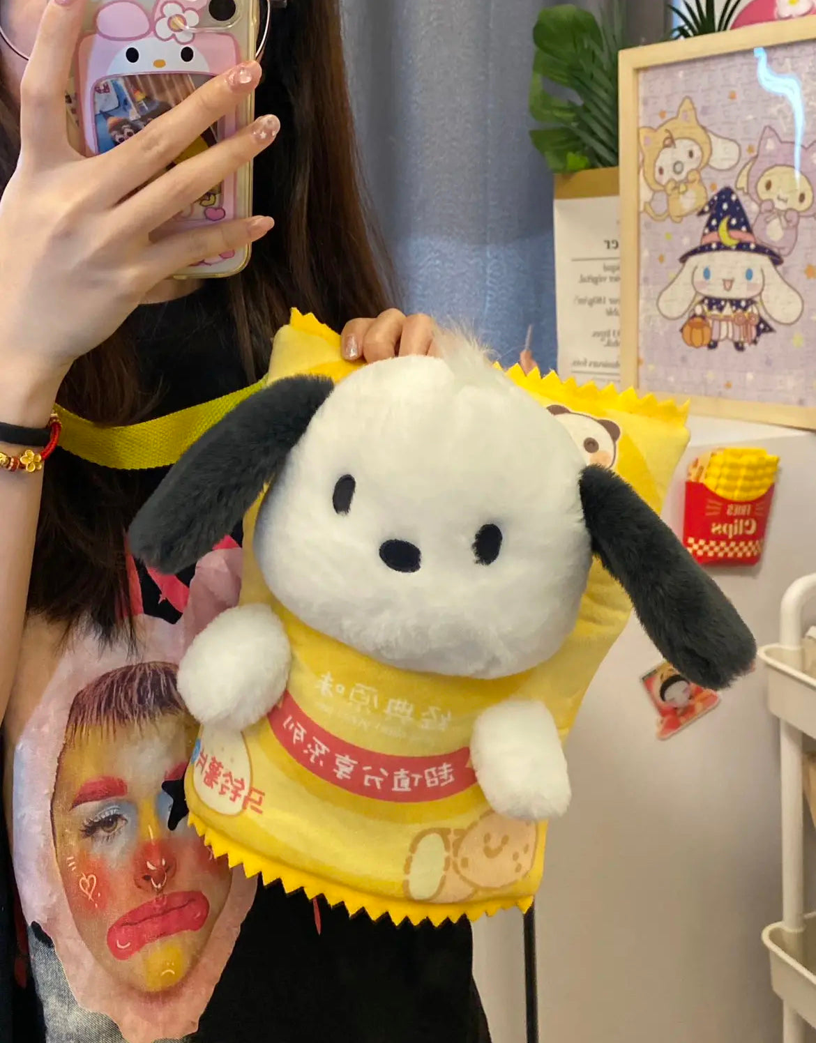 Pocha Potato Chips Bag