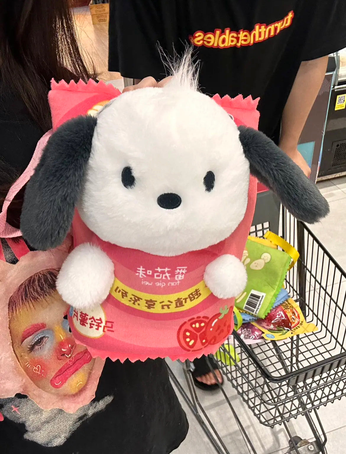 Pocha Potato Chips Bag