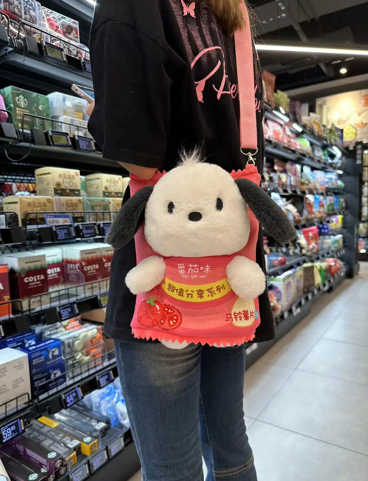 Pocha Potato Chips Bag