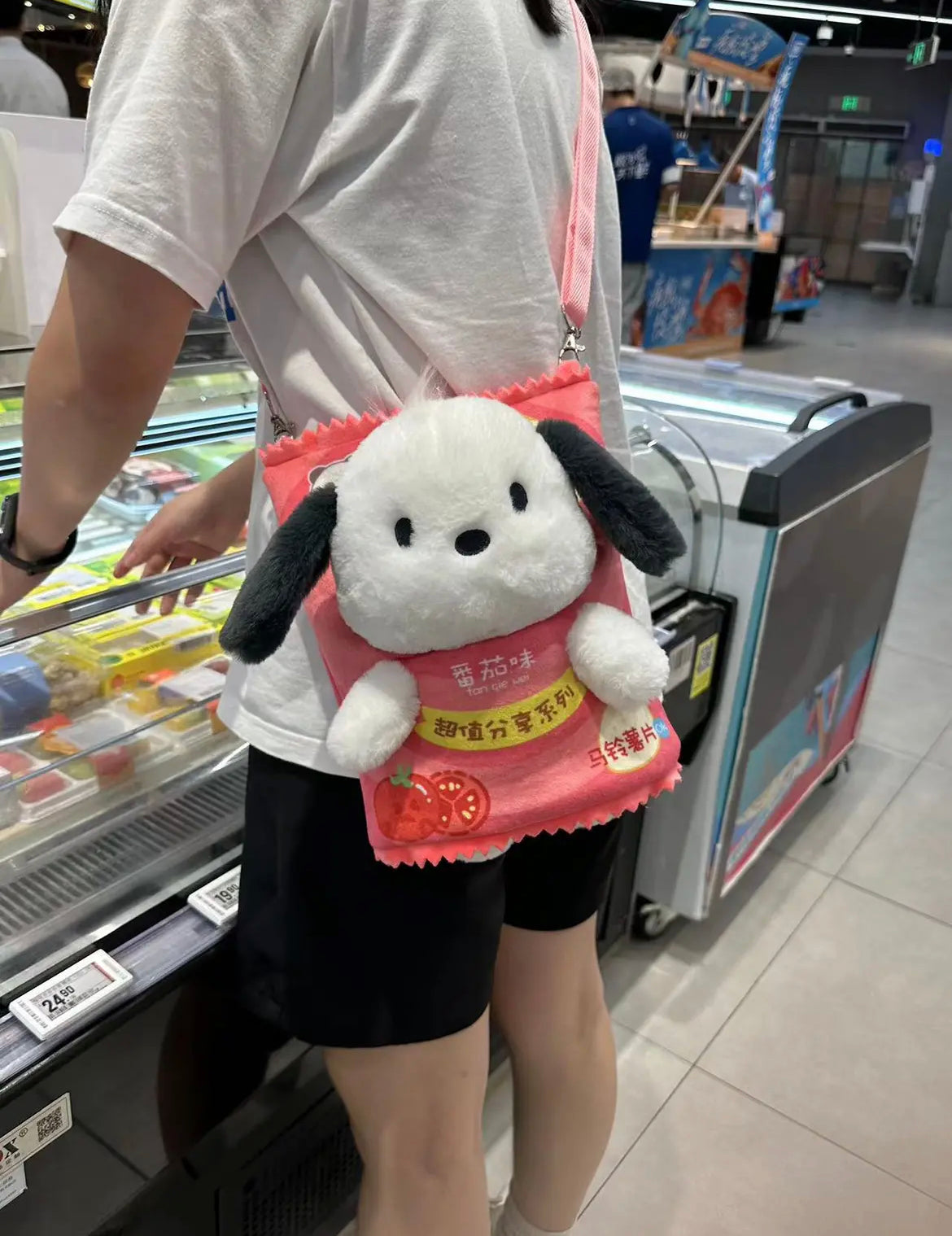 Pocha Potato Chips Bag