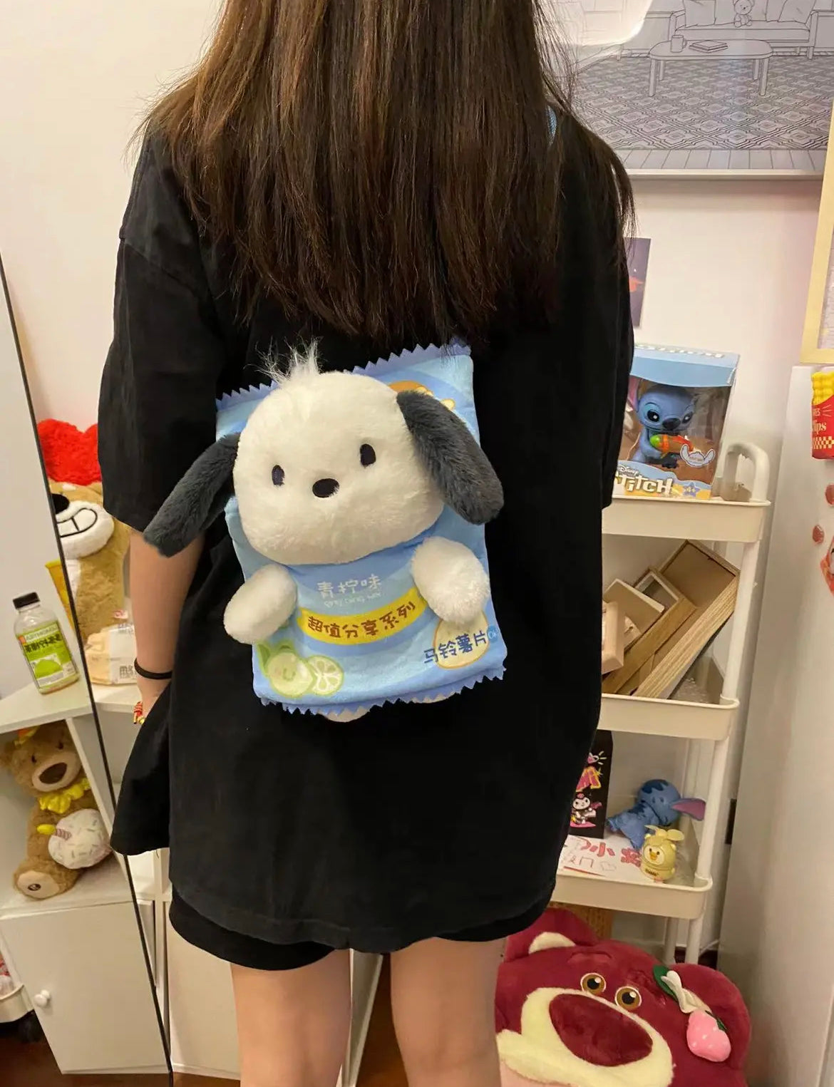 Pocha Potato Chips Bag