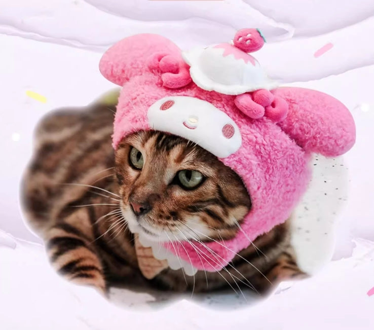 Chapeau de chat mignon et moelleux