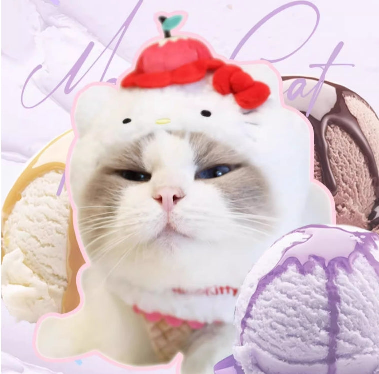 Chapeau de chat mignon et moelleux