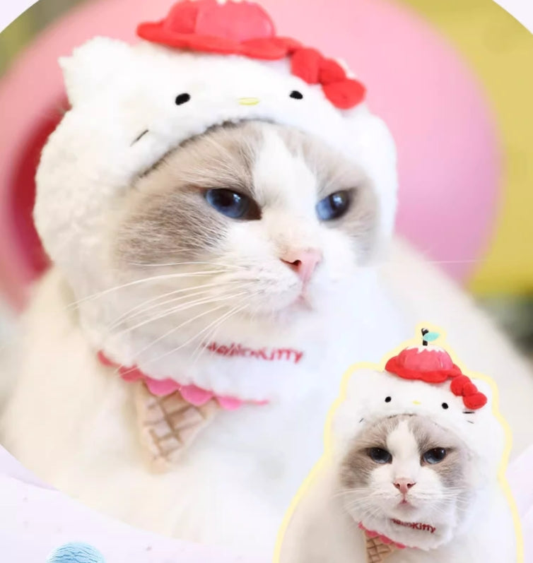 Chapeau de chat mignon et moelleux