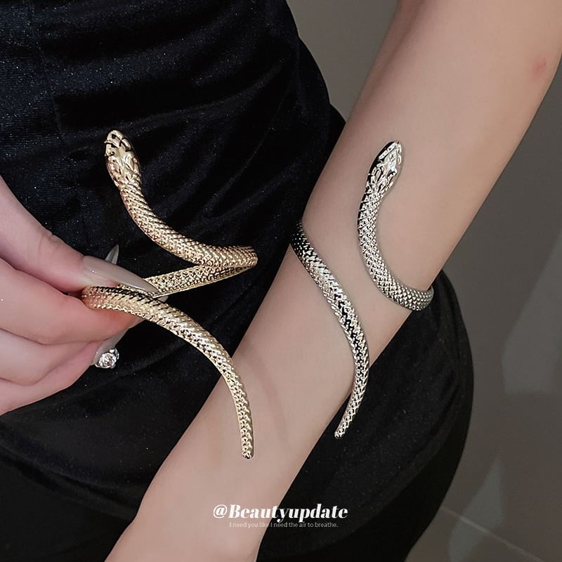 Snake Set: + Ring Bangle