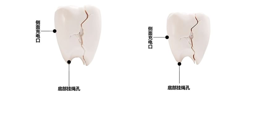 Tooth Apple AirPods / Pro Earphone Case Skin