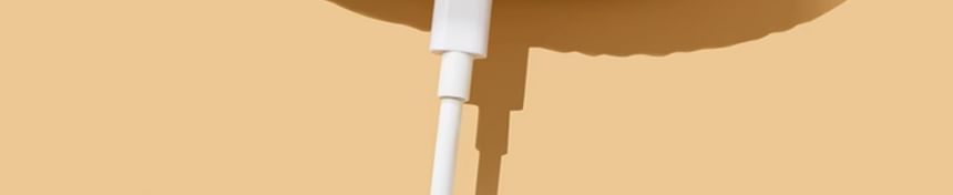 Horse Apple AirPods / Pro Earphone Case Skin