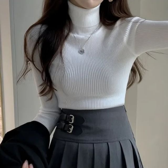 Turtleneck Solid Knit Top with Long Sleeves