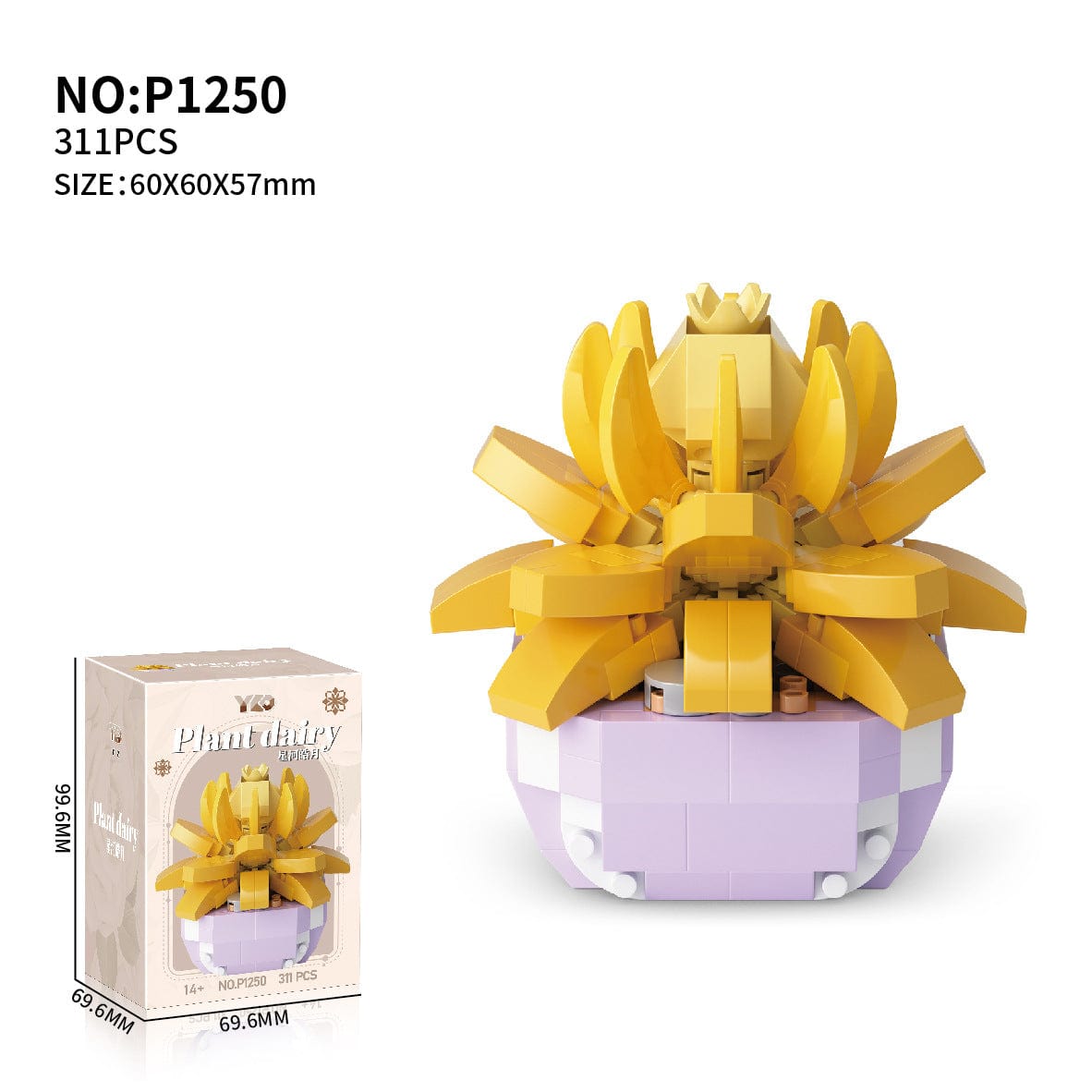 Compatible Succulents Assembly Building Blocks
