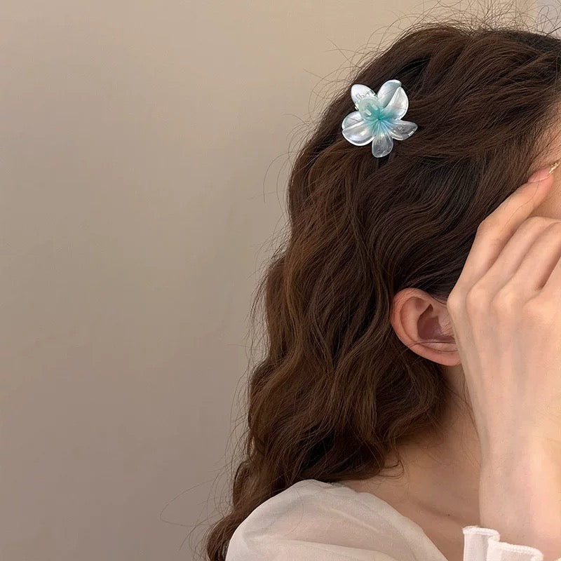 Gradient Flower Hair Clip Hair Claw Set