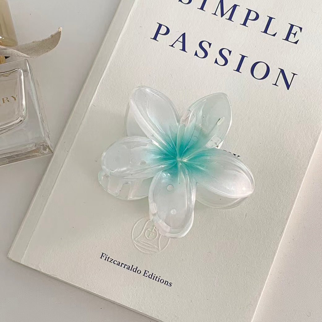 Gradient Flower Hair Clip Hair Claw Set