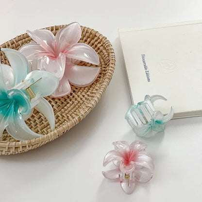 Gradient Flower Hair Clip Hair Claw Set