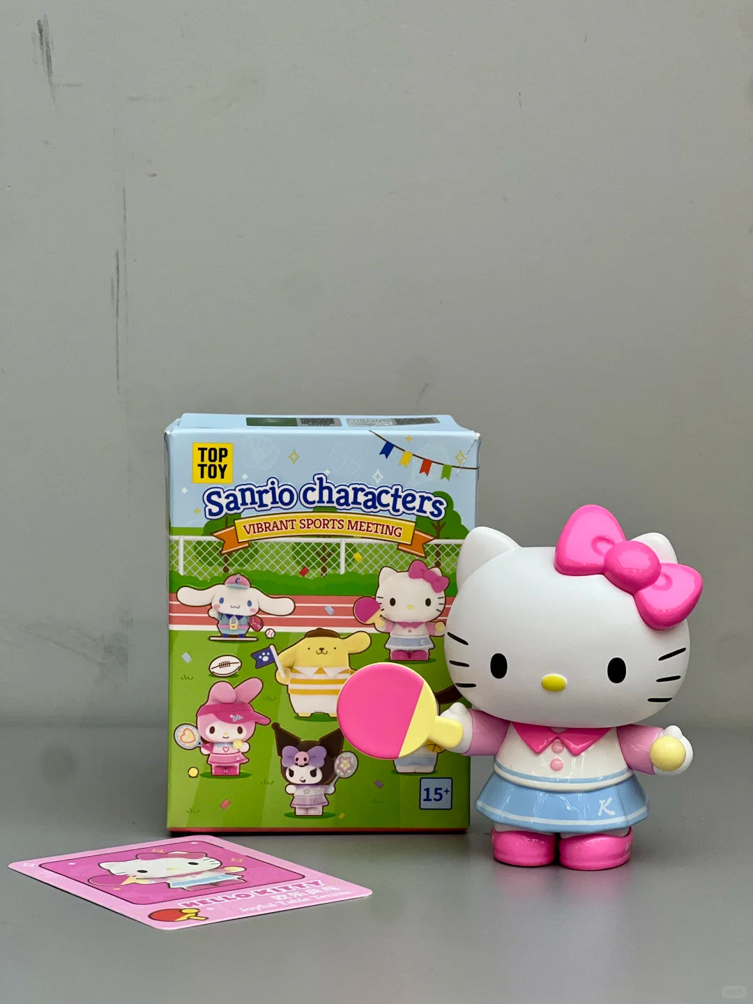 Vibrant Meeting Blind Sports Series Box