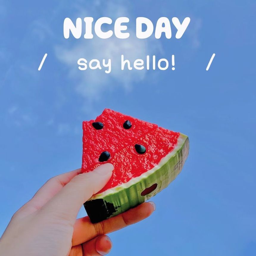 Watermelon Silicone AirPods Earphone Case Skin