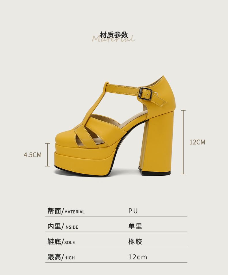 Platform Chunky Heel Sandals