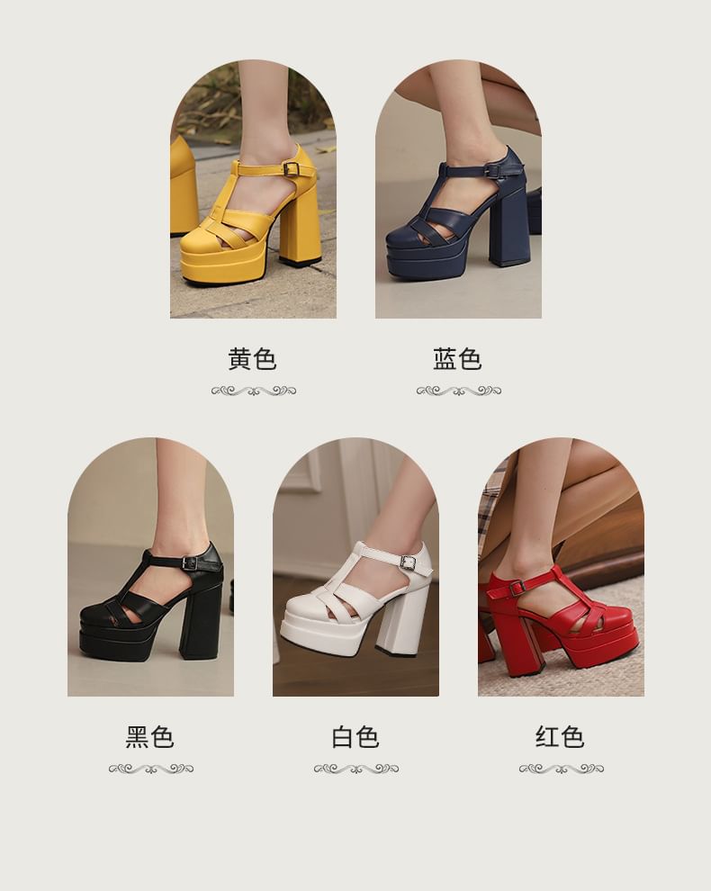 Platform Chunky Heel Sandals