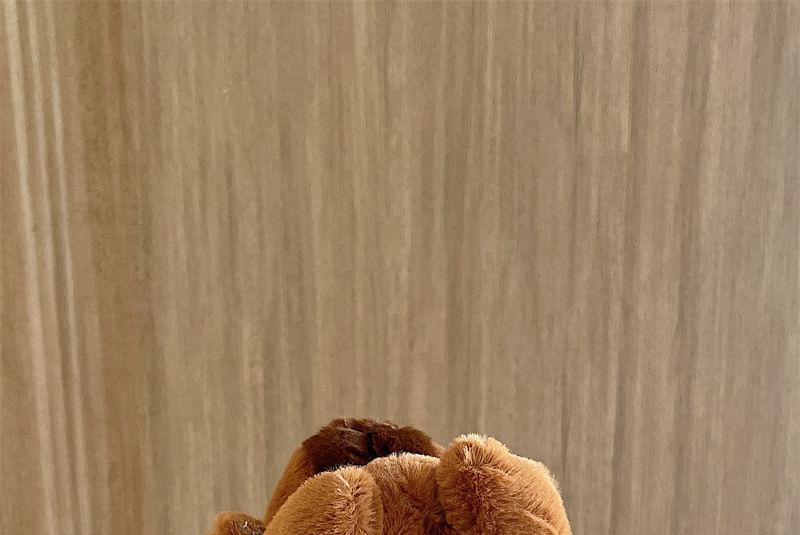 Capybara AirPods / Pro Earphone Case Skin