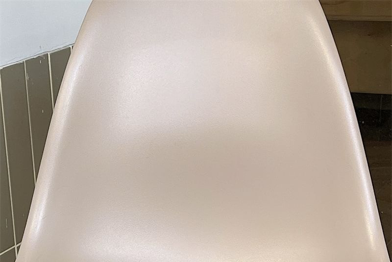 Capybara AirPods / Pro Earphone Case Skin