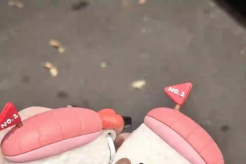 Sushi AirPods / Pro Earphone Case Skin