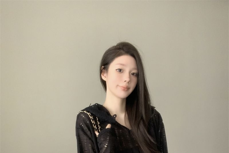 Hooded Perforated Lace Trim Sheer Knit Top