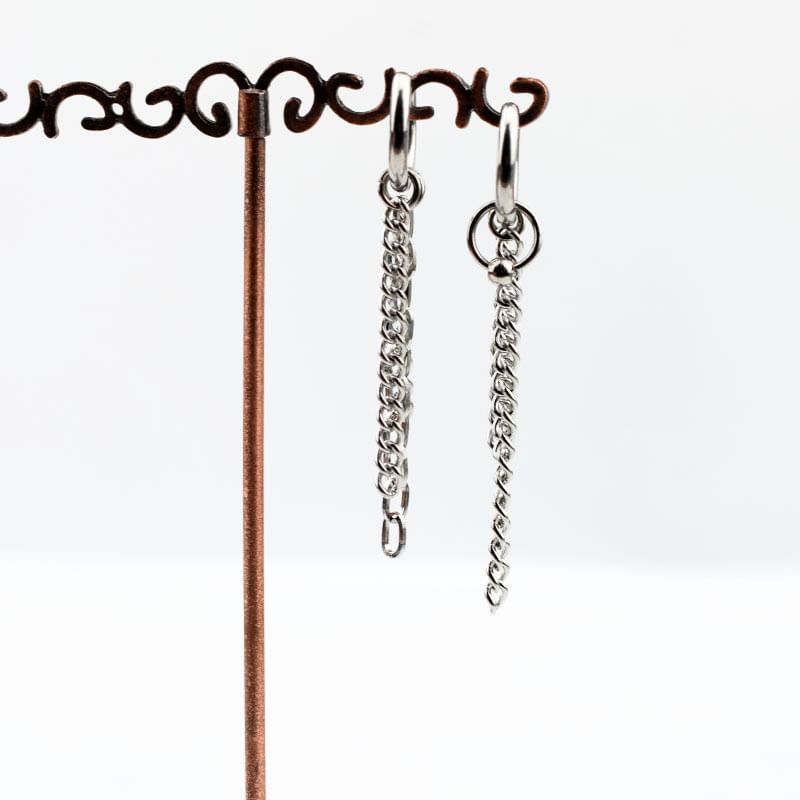 Chain Dangle Earring Stainless Steel Various