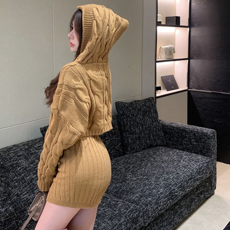 Cable Knit Hooded Sweater and Ribbed Mini Skirt Set