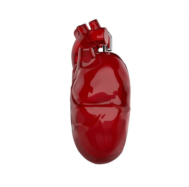 Earphone / Heart Pro Case AirPods Skin