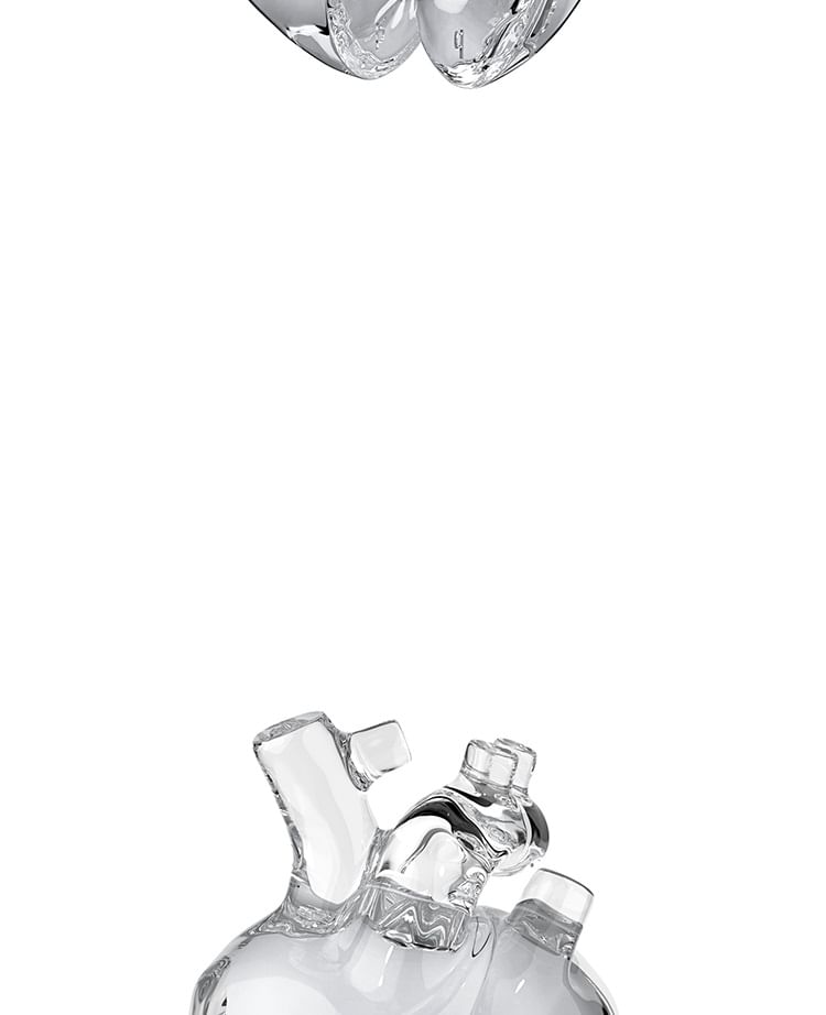 Earphone Case AirPods Skin / Heart Pro