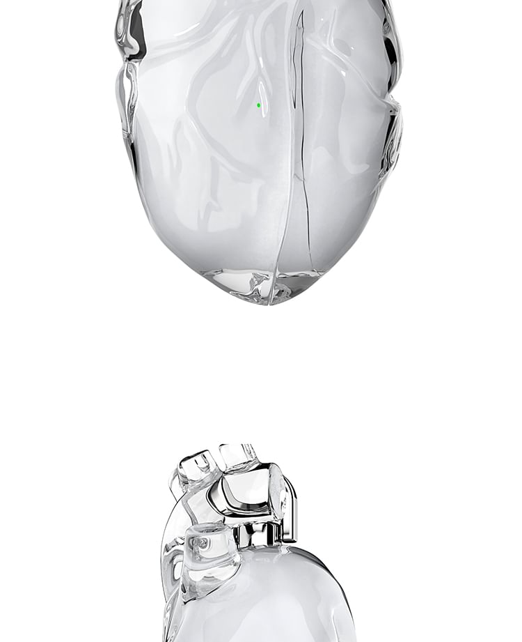 Earphone Case AirPods Skin / Heart Pro