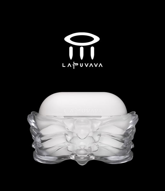 Skeleton Transparent AirPods / Pro Earphone Case Skin