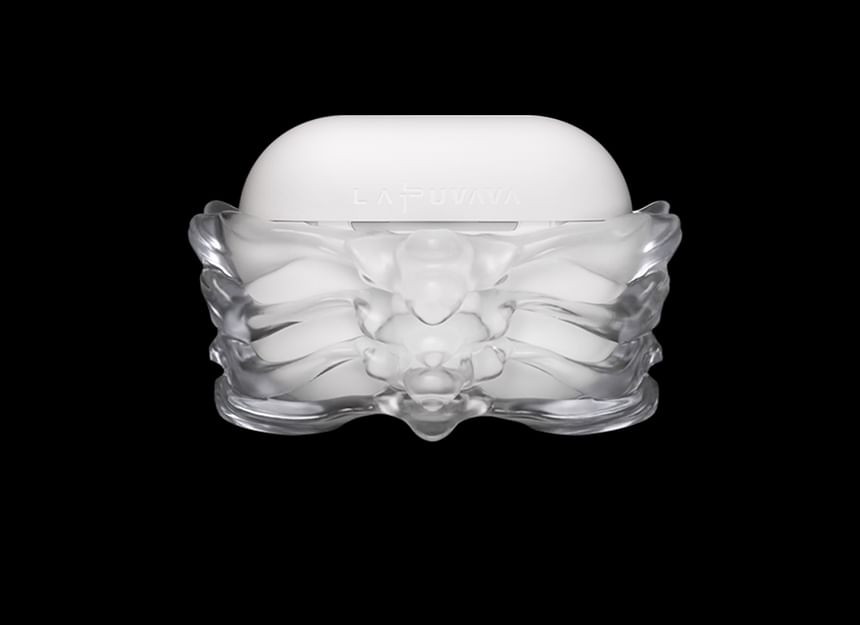 Skeleton Transparent AirPods / Pro Earphone Case Skin