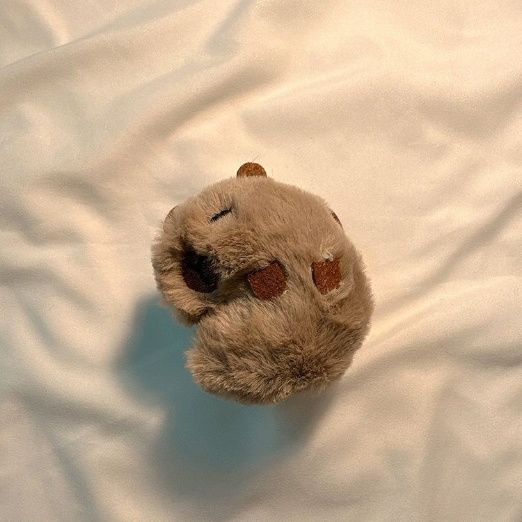 Capybara Plush AirPods Earphone Case Skin