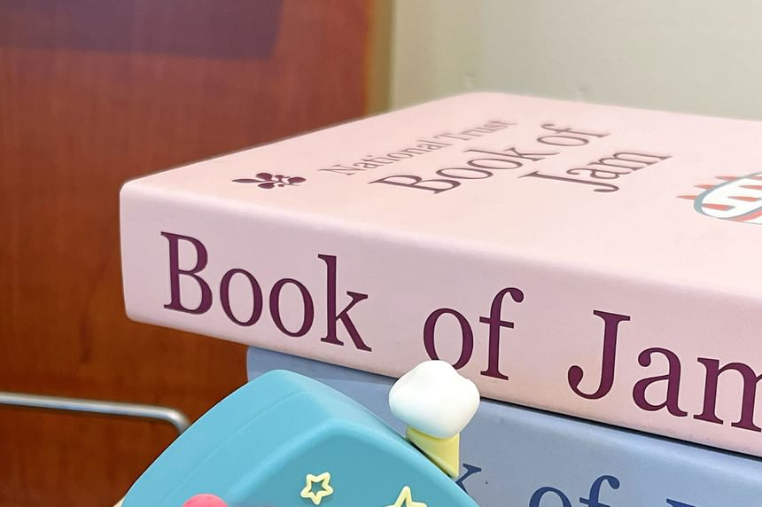 House Apple AirPods / Pro Earphone Case Skin