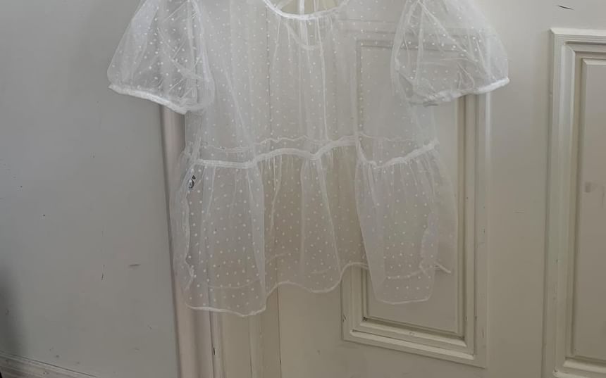 Dotted Sheer Short-Sleeved Round-Necked Crop Top