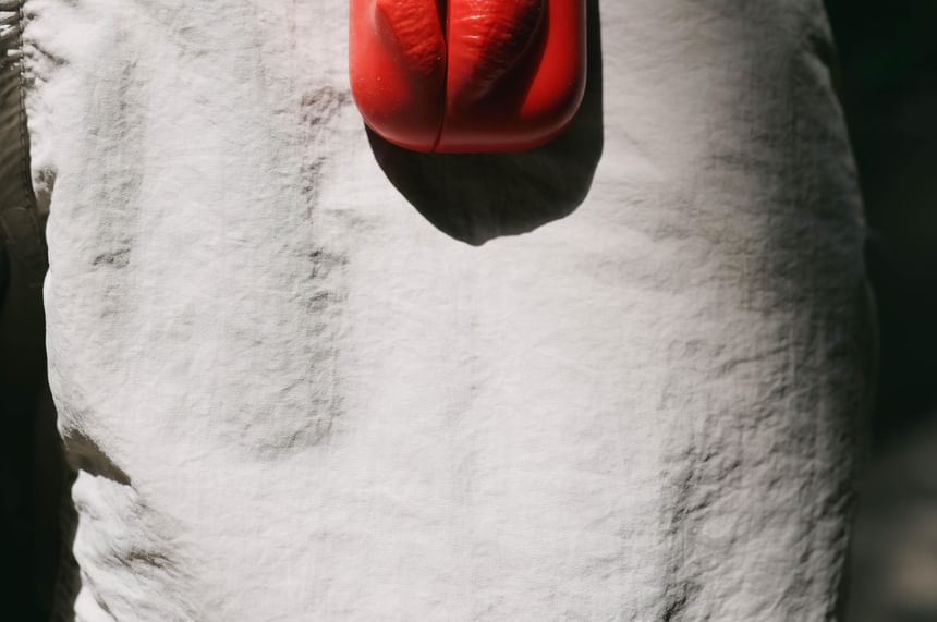 Lip Apple AirPods / Pro Earphone Case Skin