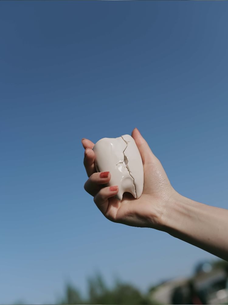 Tooth Apple AirPods / Pro Earphone Case Skin