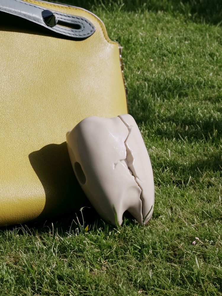 Tooth Apple AirPods / Pro Earphone Case Skin