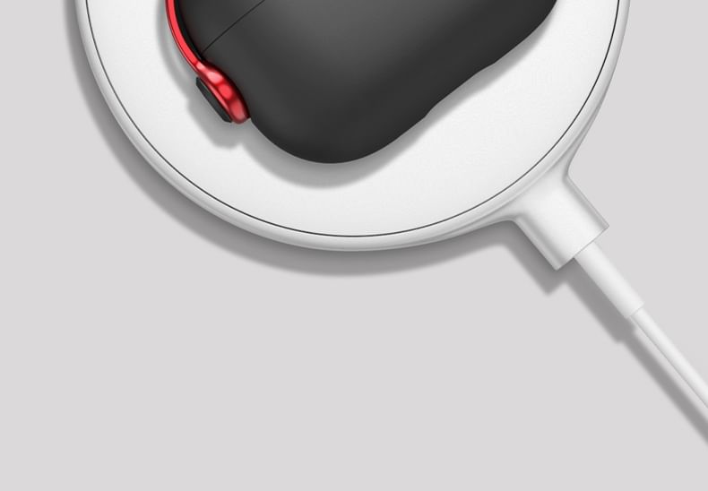 Two-Tone Apple AirPods / Pro Earphone Case Skin