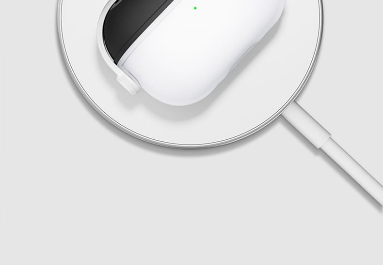 Two-Tone Apple AirPods / Pro Earphone Case Skin with Dust Cover