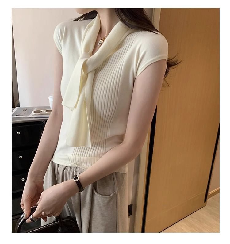 Plain V-Neck Short-Sleeved Knit Top