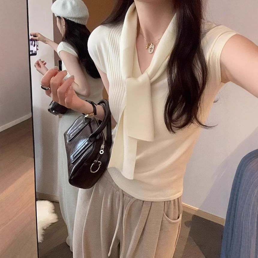 Plain V-Neck Short-Sleeved Knit Top