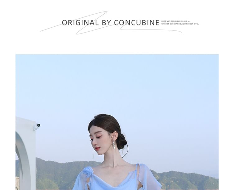 Short-Sleeve V-Neck Sheer Maxi A-Line Dress