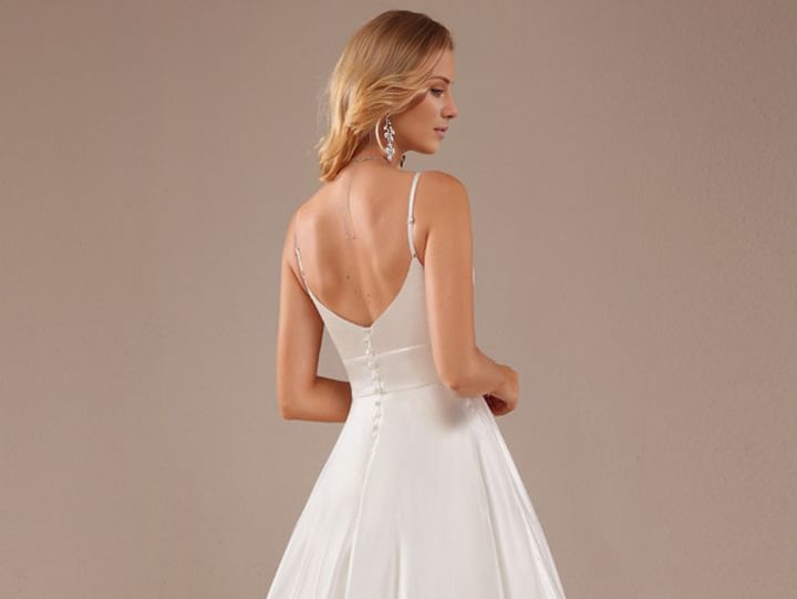Spaghetti Strap V-Neck Plain Evening Gown