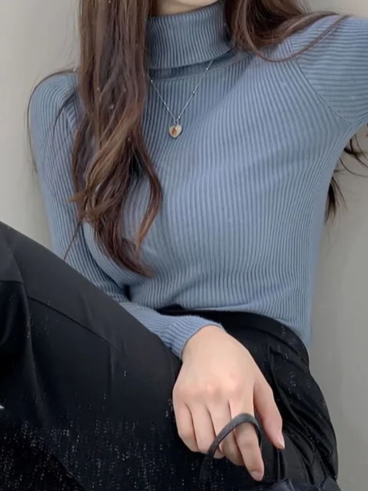 Turtleneck Solid Knit Top with Long Sleeves