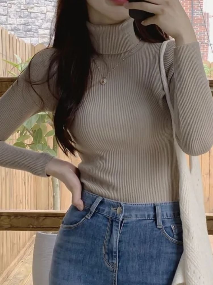 Turtleneck Solid Knit Top with Long Sleeves