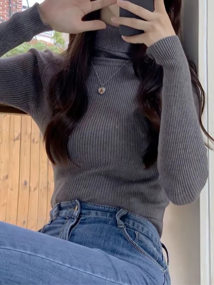 Turtleneck Solid Knit Top with Long Sleeves