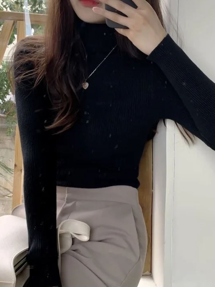 Turtleneck Solid Knit Top with Long Sleeves