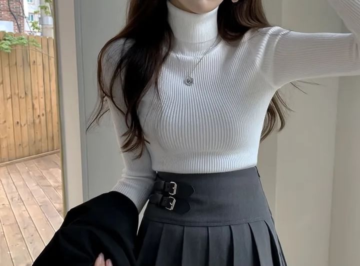Turtleneck Solid Knit Top with Long Sleeves