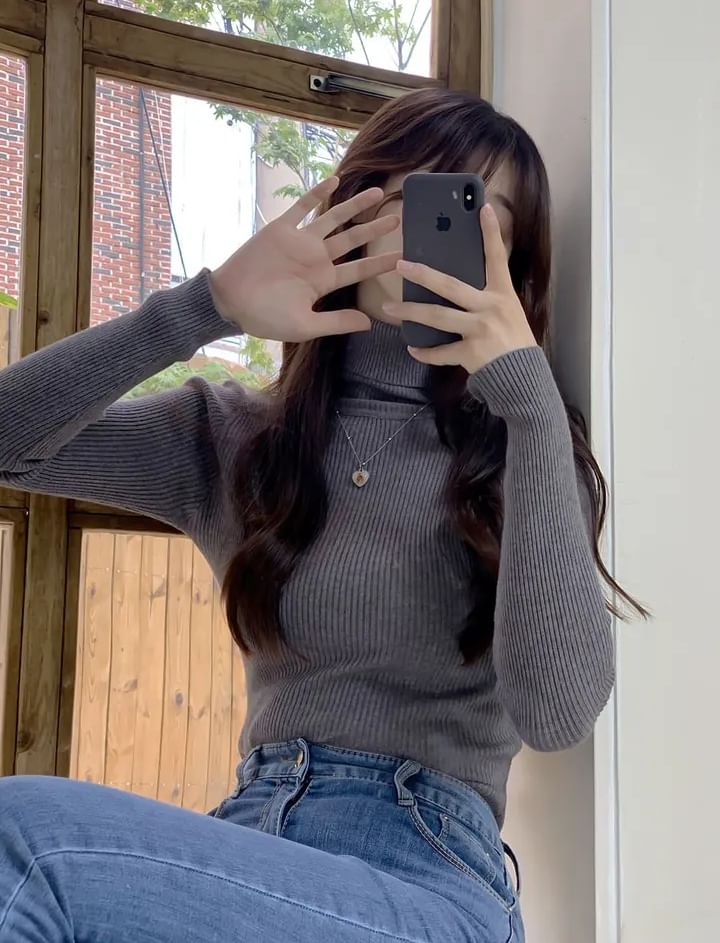 Turtleneck Solid Knit Top with Long Sleeves